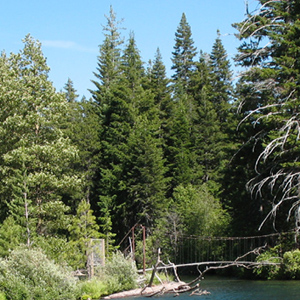 From the docks, towards boat rental, bait house, the lagoon
