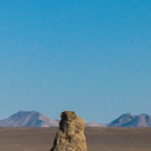 Trona Pinnacles