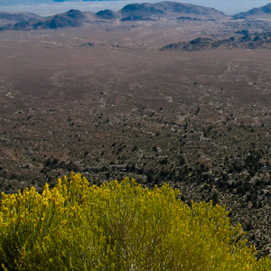 Owens Valley, Mississippi Hills