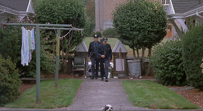 Where Panda leads the police.