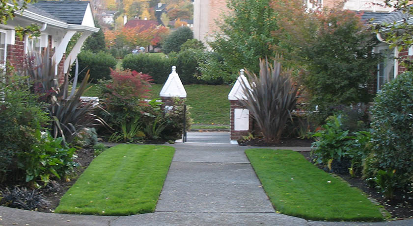 Where Panda leads the police.