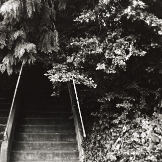 Alameda Ridge - NE 50th Ave.