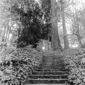 Portland Outdoor Stairs