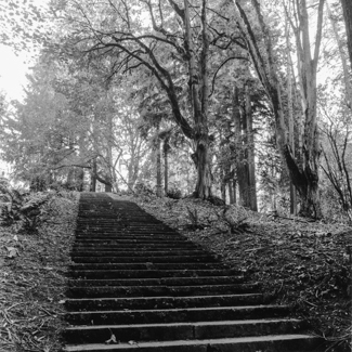 West Hills - The Coming of the White Man Stairway