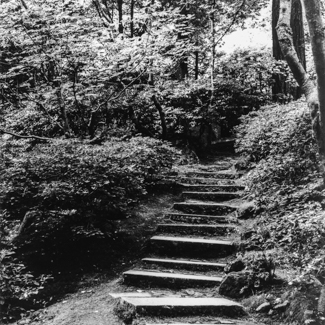 Washington Park - Japanese Gardens