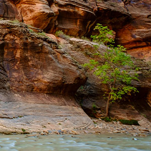Zion National Park, Utah