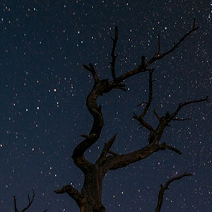 Bryce Canyon National Park, Utah